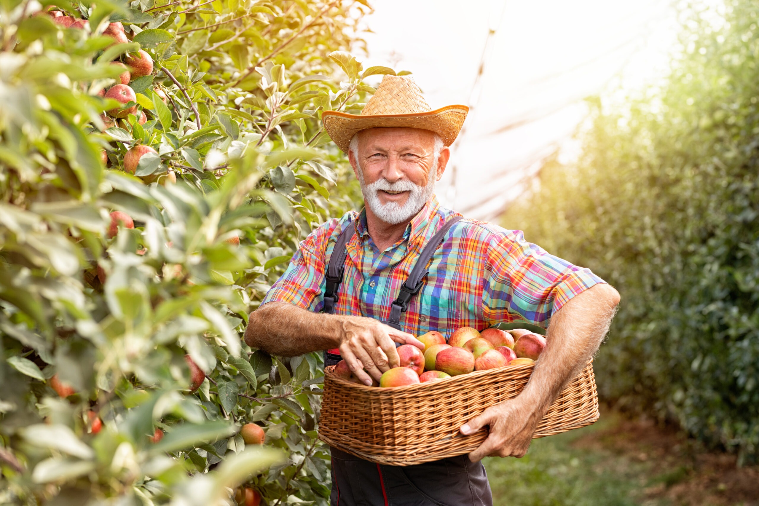 Portrait Smiling Male Farmer